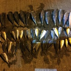 イワシ、アジ、サバ